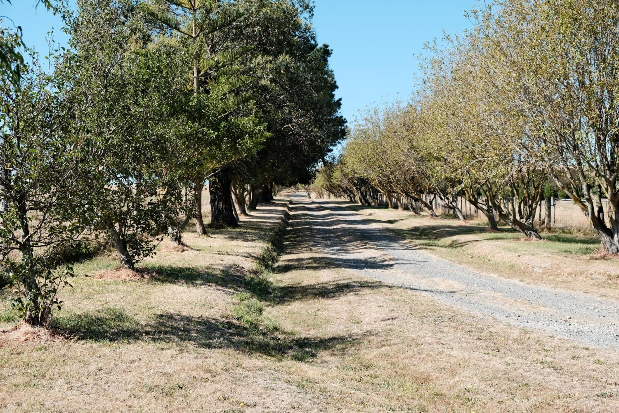 A Cabin With A Big View, Comfort And Tranquility, Close To Vines مارتينبوره المظهر الخارجي الصورة